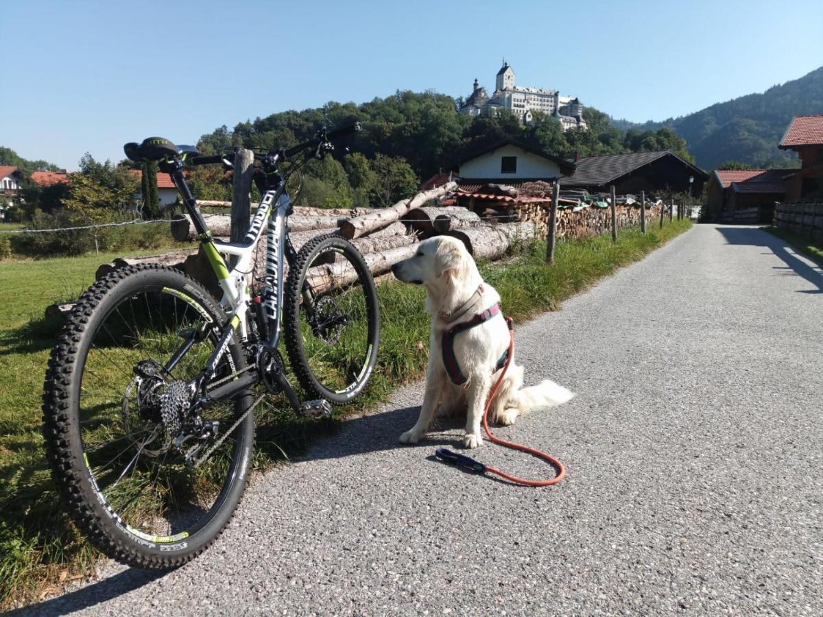 Ciao-Aschau Fewo Roeder Apartment Aschau im Chiemgau Bagian luar foto